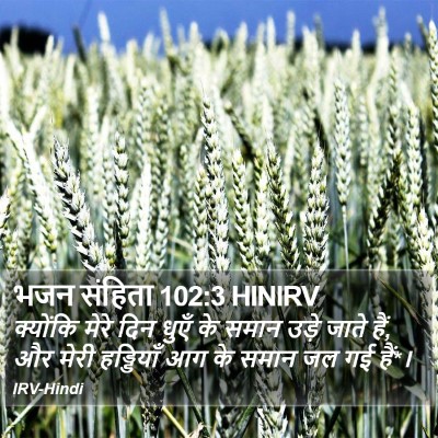 भजन संहिता 102:3 HINIRV Bible Verse Image
