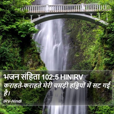 भजन संहिता 102:5 HINIRV Bible Verse Image