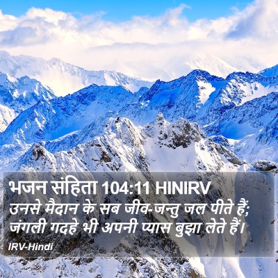 भजन संहिता 104:11 HINIRV Bible Verse Image