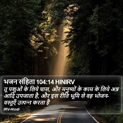 भजन संहिता 104:14 HINIRV Bible Verse Image