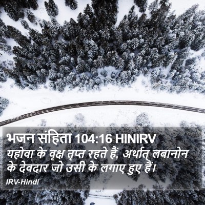भजन संहिता 104:16 HINIRV Bible Verse Image