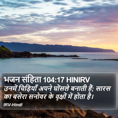 भजन संहिता 104:17 HINIRV Bible Verse Image