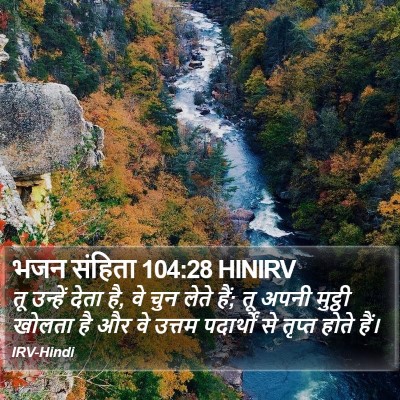 भजन संहिता 104:28 HINIRV Bible Verse Image
