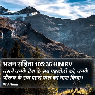 भजन संहिता 105:36 HINIRV Bible Verse Image