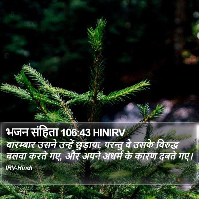 भजन संहिता 106:43 HINIRV Bible Verse Image