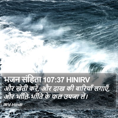 भजन संहिता 107:37 HINIRV Bible Verse Image