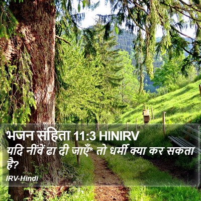 भजन संहिता 11:3 HINIRV Bible Verse Image