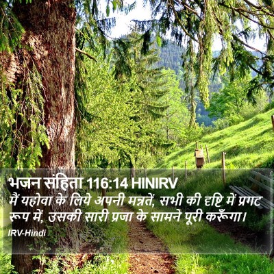भजन संहिता 116:14 HINIRV Bible Verse Image