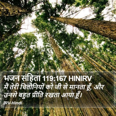 भजन संहिता 119:167 HINIRV Bible Verse Image