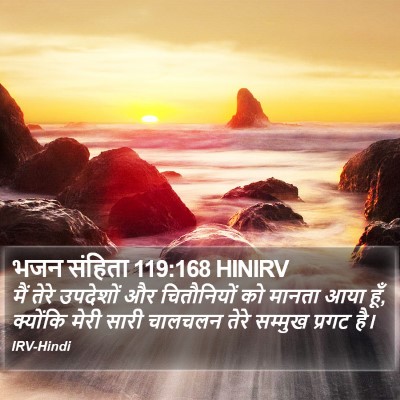 भजन संहिता 119:168 HINIRV Bible Verse Image