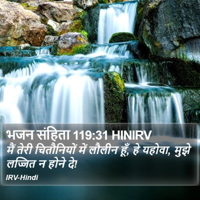 भजन संहिता 119:31 HINIRV Bible Verse Image