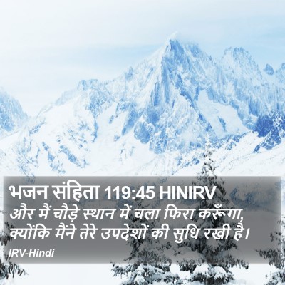 भजन संहिता 119:45 HINIRV Bible Verse Image