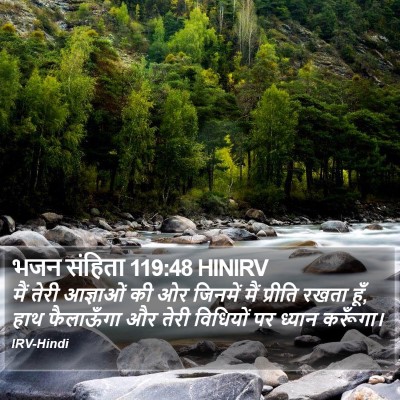 भजन संहिता 119:48 HINIRV Bible Verse Image