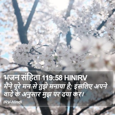भजन संहिता 119:58 HINIRV Bible Verse Image