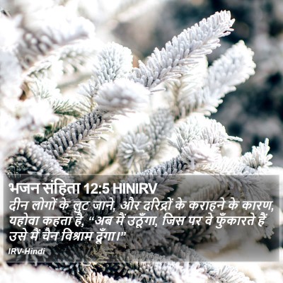 भजन संहिता 12:5 HINIRV Bible Verse Image