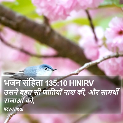 भजन संहिता 135:10 HINIRV Bible Verse Image