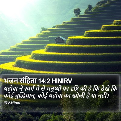 भजन संहिता 14:2 HINIRV Bible Verse Image