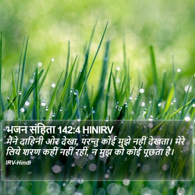 भजन संहिता 142:4 HINIRV Bible Verse Image