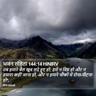 भजन संहिता 144:14 HINIRV Bible Verse Image