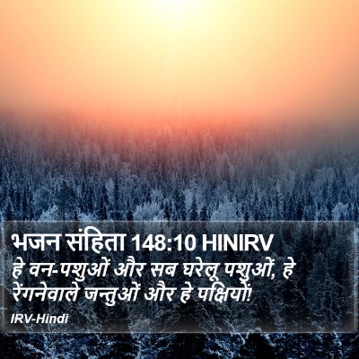 भजन संहिता 148:10 HINIRV Bible Verse Image
