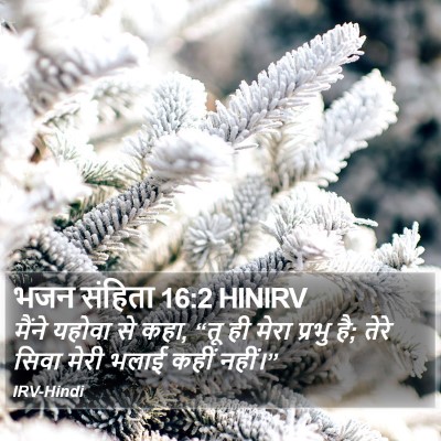 भजन संहिता 16:2 HINIRV Bible Verse Image