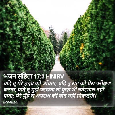 भजन संहिता 17:3 HINIRV Bible Verse Image