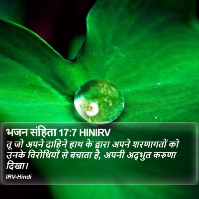 भजन संहिता 17:7 HINIRV Bible Verse Image