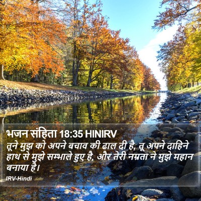 भजन संहिता 18:35 HINIRV Bible Verse Image