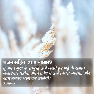 भजन संहिता 21:9 HINIRV Bible Verse Image