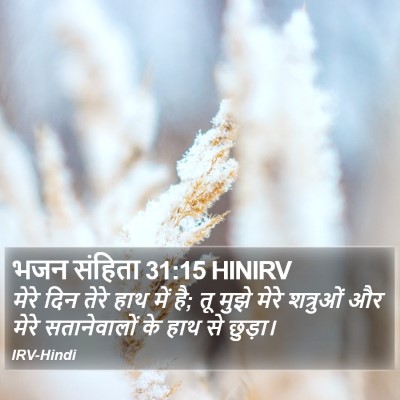भजन संहिता 31:15 HINIRV Bible Verse Image