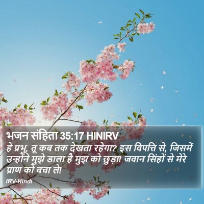 भजन संहिता 35:17 HINIRV Bible Verse Image