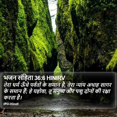 भजन संहिता 36:6 HINIRV Bible Verse Image