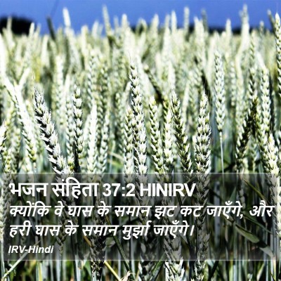 भजन संहिता 37:2 HINIRV Bible Verse Image