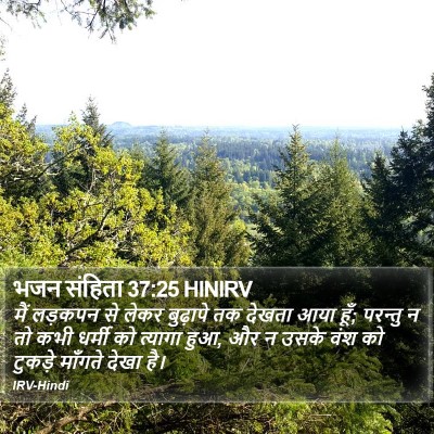 भजन संहिता 37:25 HINIRV Bible Verse Image