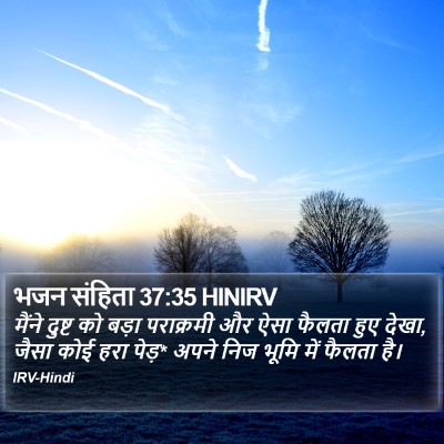 भजन संहिता 37:35 HINIRV Bible Verse Image