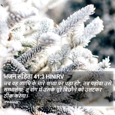 भजन संहिता 41:3 HINIRV Bible Verse Image