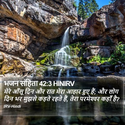 भजन संहिता 42:3 HINIRV Bible Verse Image