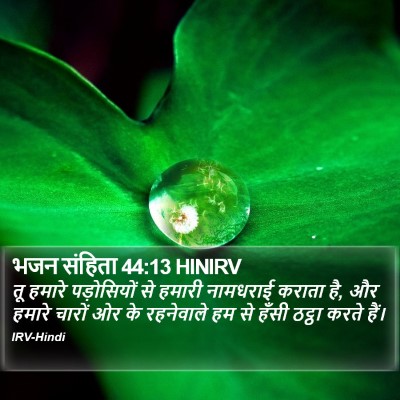 भजन संहिता 44:13 HINIRV Bible Verse Image