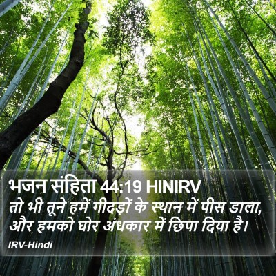 भजन संहिता 44:19 HINIRV Bible Verse Image
