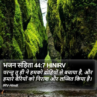 भजन संहिता 44:7 HINIRV Bible Verse Image