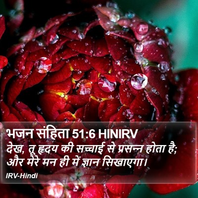 भजन संहिता 51:6 HINIRV Bible Verse Image