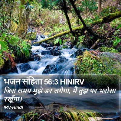 भजन संहिता 56:3 HINIRV Bible Verse Image