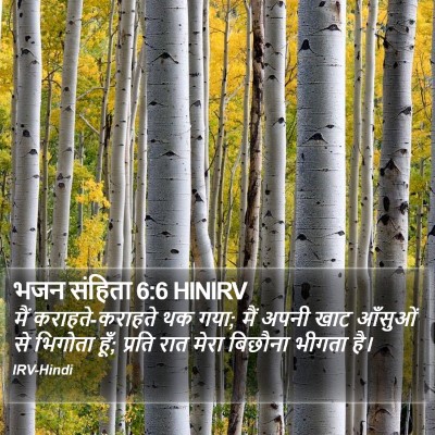 भजन संहिता 6:6 HINIRV Bible Verse Image