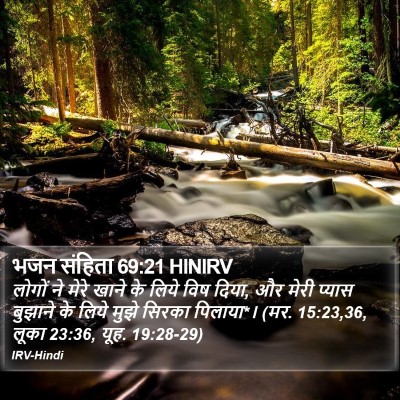 भजन संहिता 69:21 HINIRV Bible Verse Image