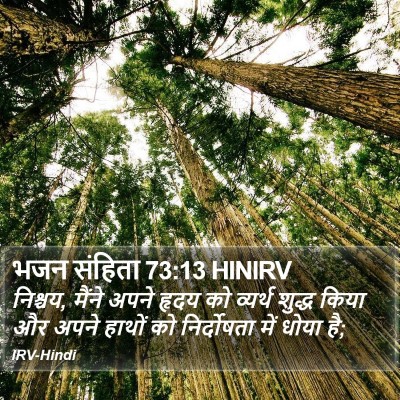 भजन संहिता 73:13 HINIRV Bible Verse Image