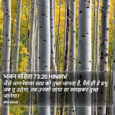भजन संहिता 73:20 HINIRV Bible Verse Image