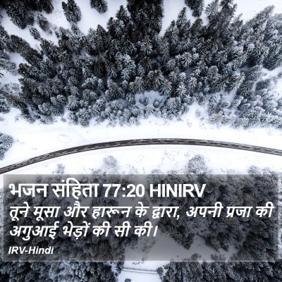 भजन संहिता 77:20 HINIRV Bible Verse Image