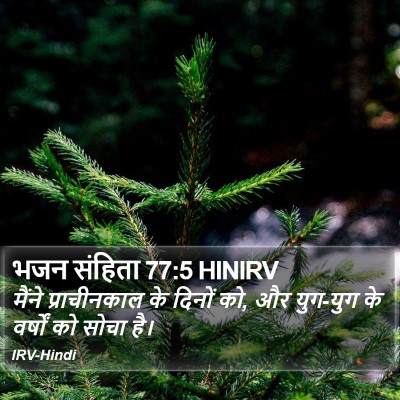 भजन संहिता 77:5 HINIRV Bible Verse Image