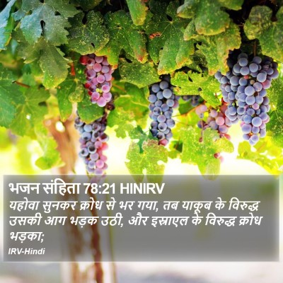 भजन संहिता 78:21 HINIRV Bible Verse Image