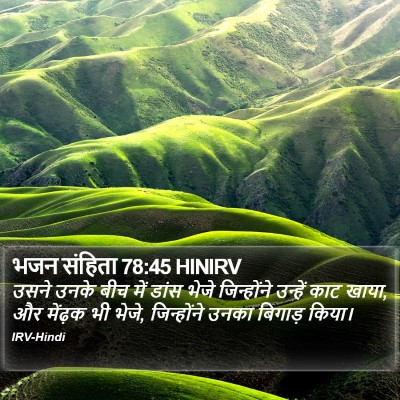 भजन संहिता 78:45 HINIRV Bible Verse Image